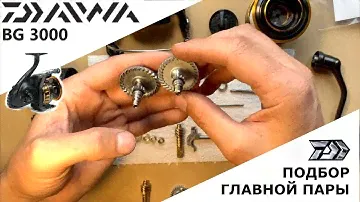 DAIWA BG 3000 КАК ПОДОБРАТЬ ГЛАВНУЮ ПАРУ