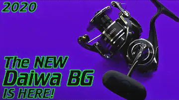 THE NEW DAIWA BG MQ IS HERE:  I want YOU to tell me what YOU want me to do!