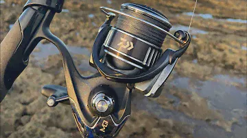 REVIEW MOLINETE DAIWA BG MQ 4000