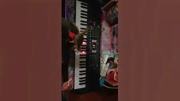 AlisA TV!