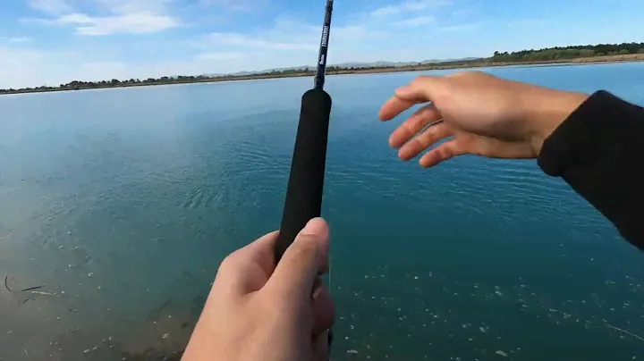 Waimakariri river fishing 2024 (Daiwa TD Sol MQ) part 2
